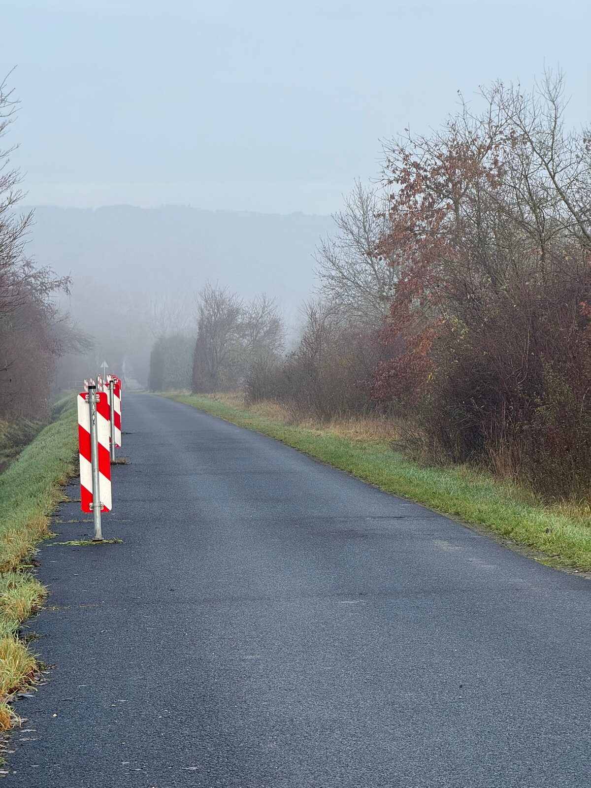 Läuferinnen und Läufer auf der Strecke des Weihnachtslaufs 2025, teils mit Weihnachtsmützen